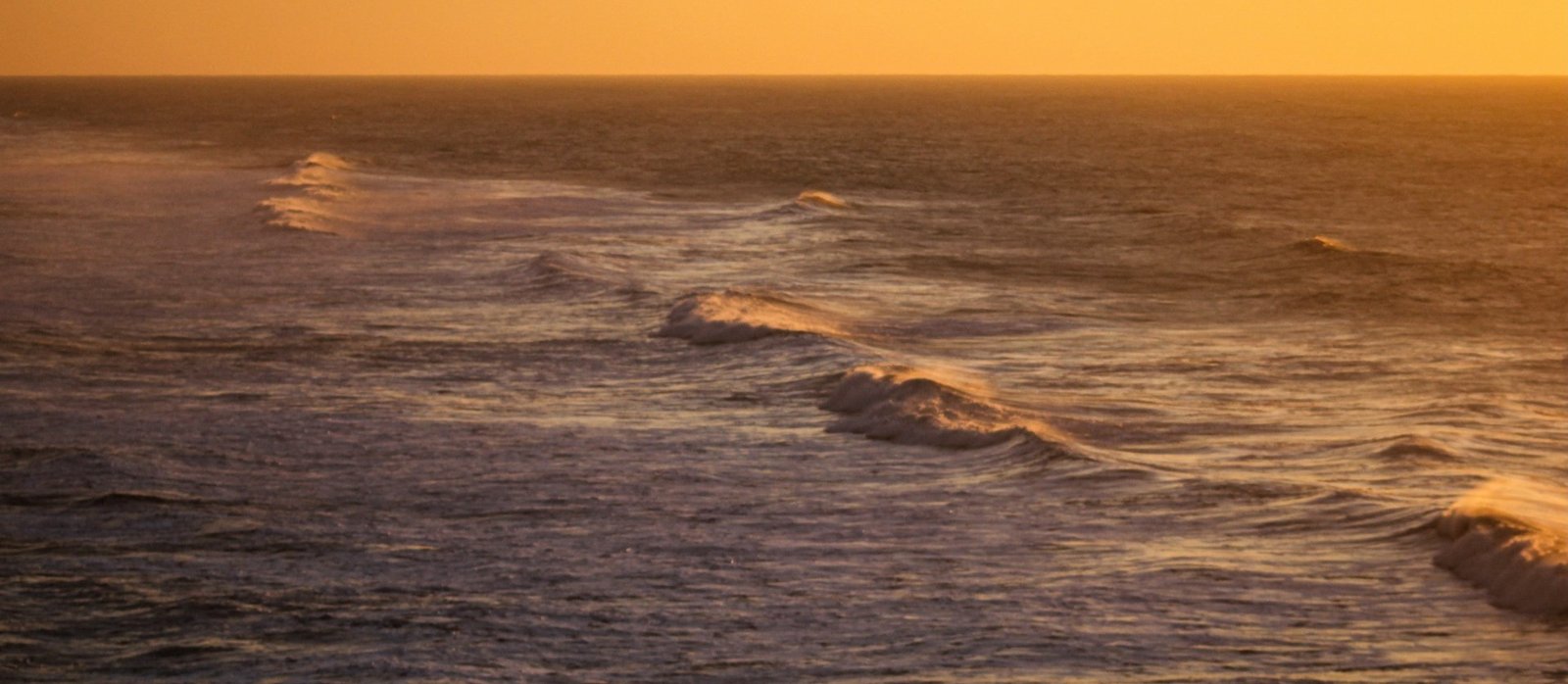 Intro Video Thumbnail